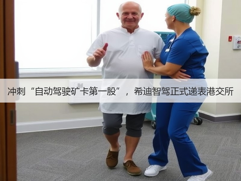 冲刺“自动驾驶矿卡第一股”,希迪智驾正式递表港交所 冲刺“自动驾驶矿卡第一股”,希迪智驾正式递表港交所
