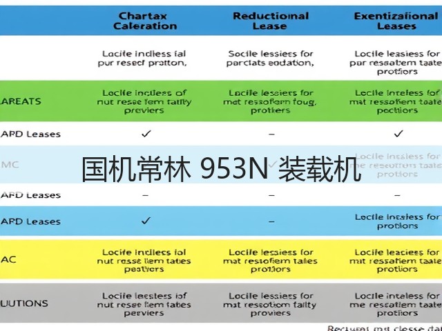 国机常林 953N 装载机(图2)