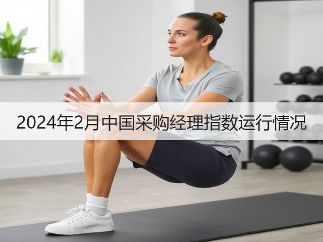 2024年2月中国采购经理指数运行情况(图1) 2024年2月中国采购经理指数运行情况(图1)