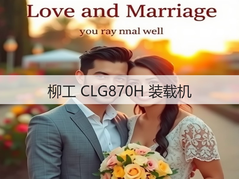 柳工 CLG870H 装载机