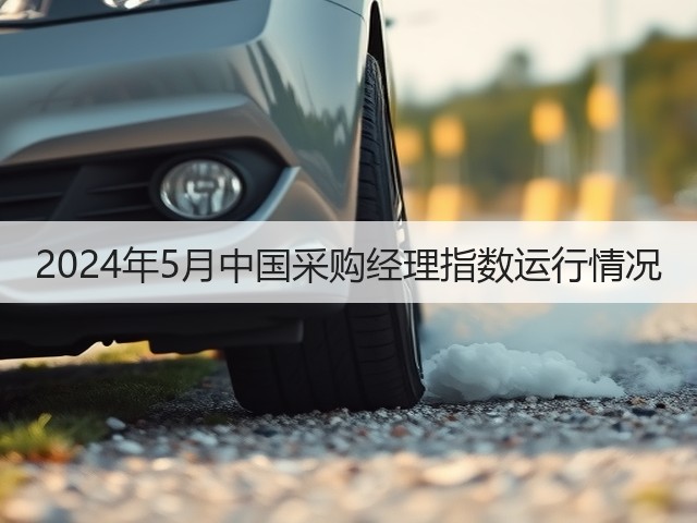 2024年5月中国采购经理指数运行情况(图3) 2024年5月中国采购经理指数运行情况(图3)