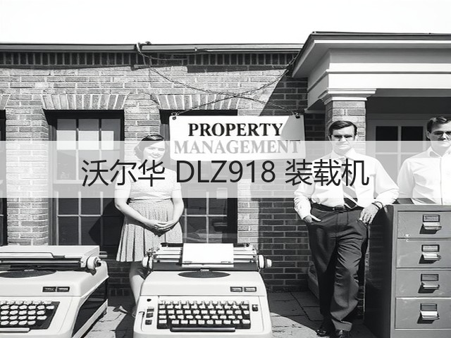沃尔华 DLZ918 装载机(图3) 沃尔华 DLZ918 装载机(图3)