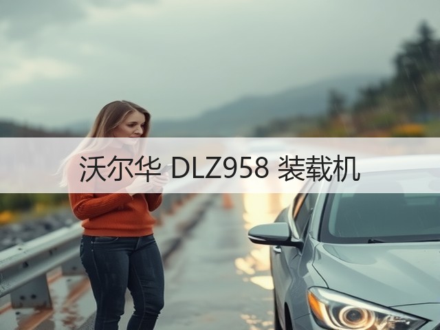 沃尔华 DLZ958 装载机(图2) 沃尔华 DLZ958 装载机(图2)