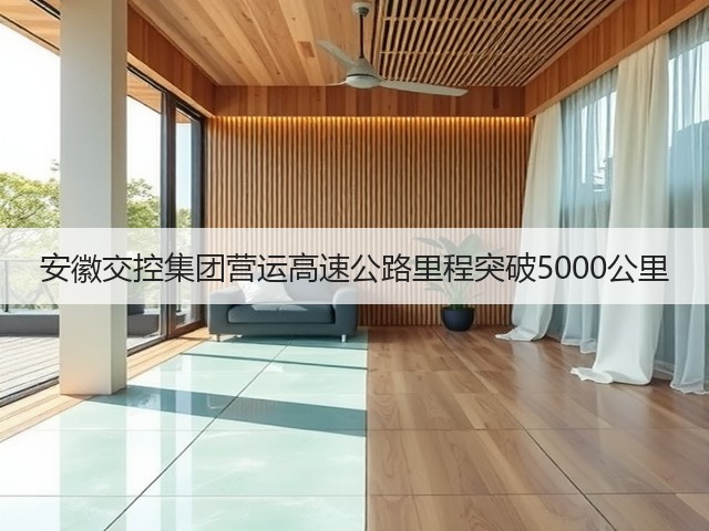 安徽交控集团营运高速公路里程突破5000公里(图3) 安徽交控集团营运高速公路里程突破5000公里(图3)