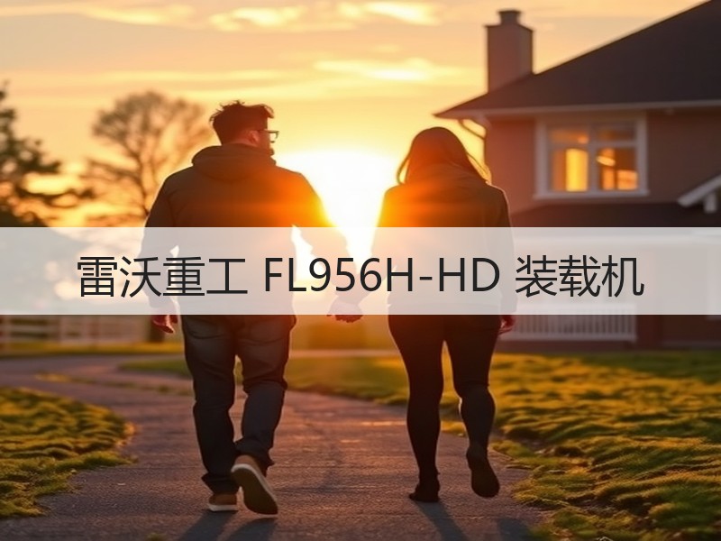 雷沃重工 FL956H-HD 装载机 雷沃重工 FL956H-HD 装载机
