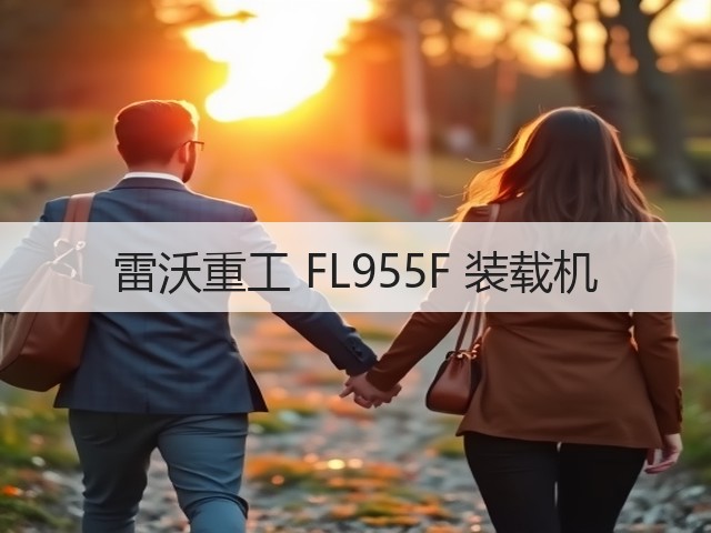 雷沃重工 FL955F 装载机(图1) 雷沃重工 FL955F 装载机(图1)