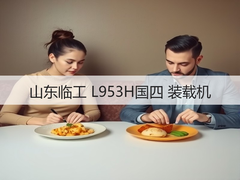 山东临工 L953H国四 装载机