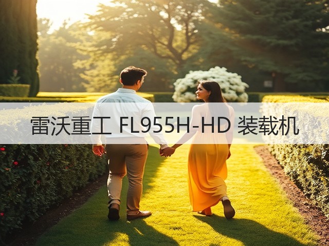 雷沃重工 FL955H-HD 装载机(图2) 雷沃重工 FL955H-HD 装载机(图2)