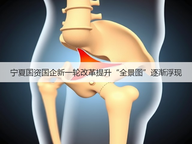 宁夏国资国企新一轮改革提升“全景图”逐渐浮现(图3) 宁夏国资国企新一轮改革提升“全景图”逐渐浮现(图3)
