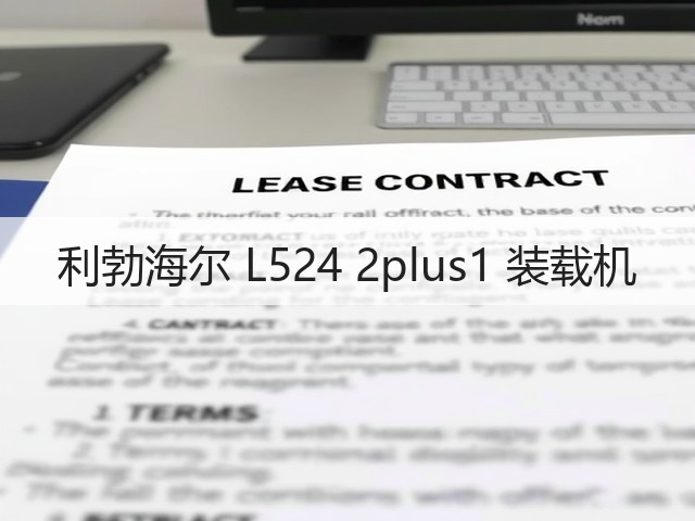 利勃海尔 L524 2plus1 装载机(图3)