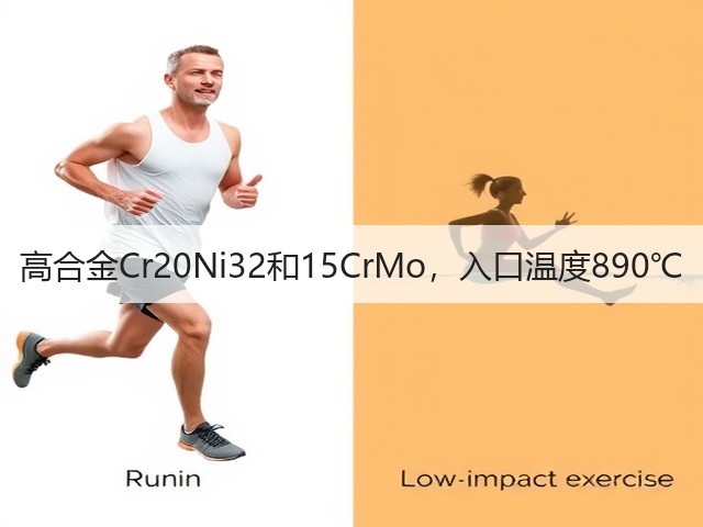 高合金Cr20Ni32和15CrMo，入口温度890℃(图3)