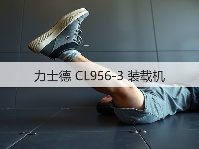 力士德 CL956-3 装载机(图3)