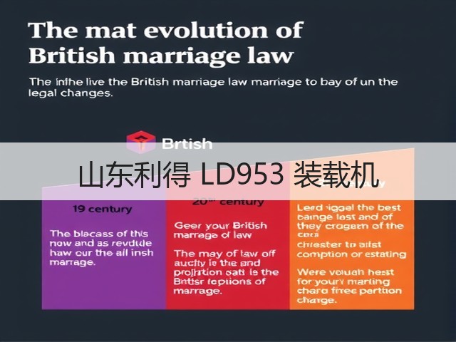 山东利得 LD953 装载机(图2)