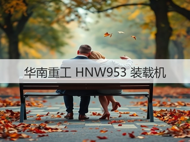 华南重工 HNW953 装载机(图2) 华南重工 HNW953 装载机(图2)