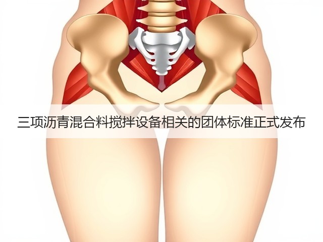 三项沥青混合料搅拌设备相关的团体标准正式发布(图3)