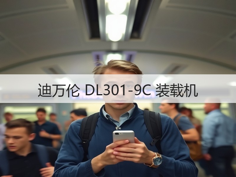 迪万伦 DL301-9C 装载机 迪万伦 DL301-9C 装载机