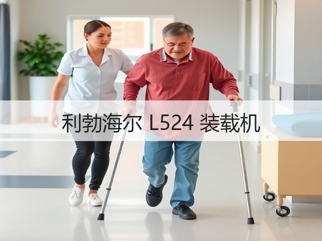 利勃海尔 L524 装载机(图3) 利勃海尔 L524 装载机(图3)