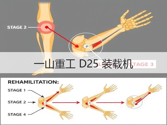 一山重工 D25 装载机(图3) 一山重工 D25 装载机(图3)