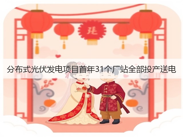 分布式光伏发电项目首年31个厂站全部投产送电(图2)