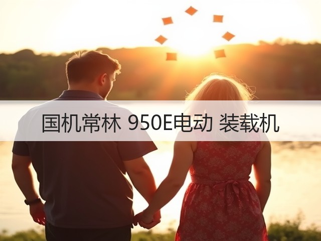 国机常林 950E电动 装载机(图2) 国机常林 950E电动 装载机(图2)