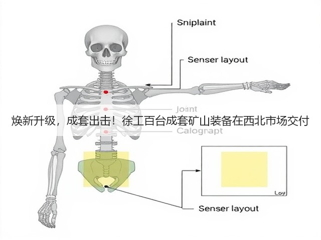 焕新升级,成套出击!徐工百台成套矿山装备在西北市场交付(图1) 焕新升级,成套出击!徐工百台成套矿山装备在西北市场交付(图1)