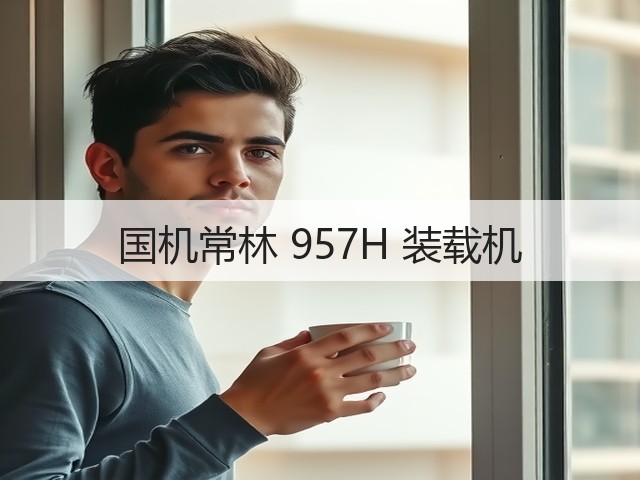 国机常林 957H 装载机(图1) 国机常林 957H 装载机(图1)
