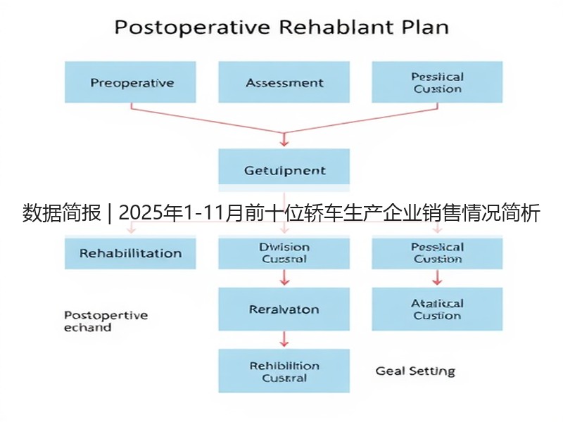 数据简报 | 2025年1-11月前十位轿车生产企业销售情况简析 数据简报 | 2025年1-11月前十位轿车生产企业销售情况简析