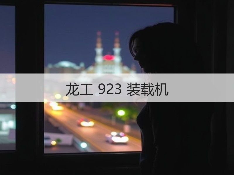 龙工 923 装载机 龙工 923 装载机