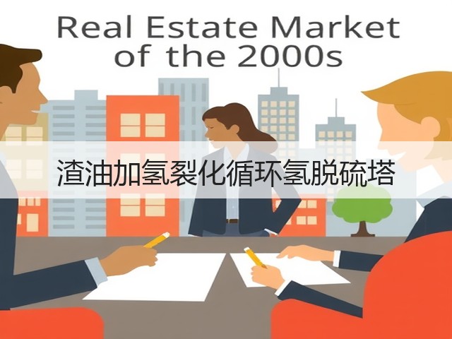 渣油加氢裂化循环氢脱硫塔(图1)