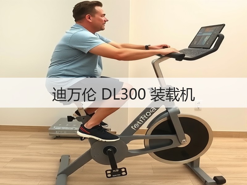 迪万伦 DL300 装载机 迪万伦 DL300 装载机