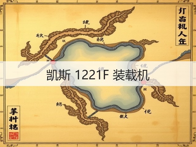 凯斯 1221F 装载机(图2)