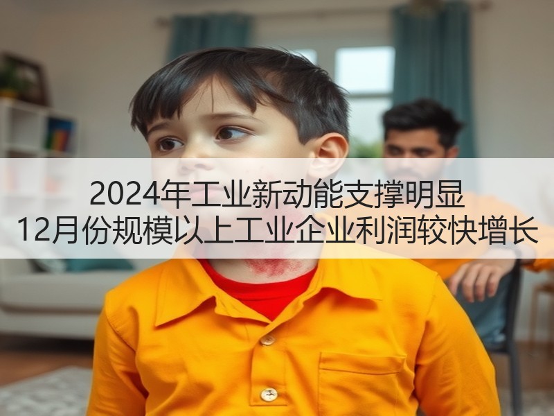 2024年工业新动能支撑明显 12月份规模以上工业企业利润较快增长 2024年工业新动能支撑明显 12月份规模以上工业企业利润较快增长