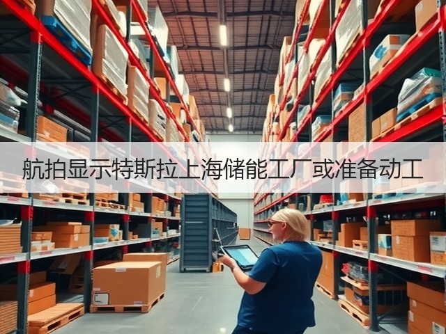 航拍显示特斯拉上海储能工厂或准备动工(图3)