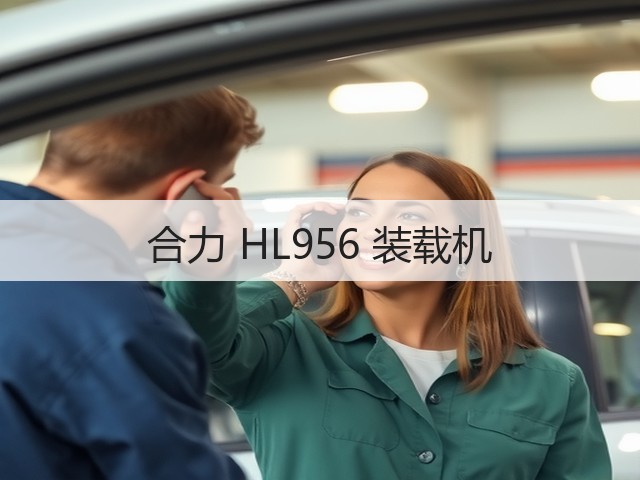 合力 HL956 装载机(图3) 合力 HL956 装载机(图3)