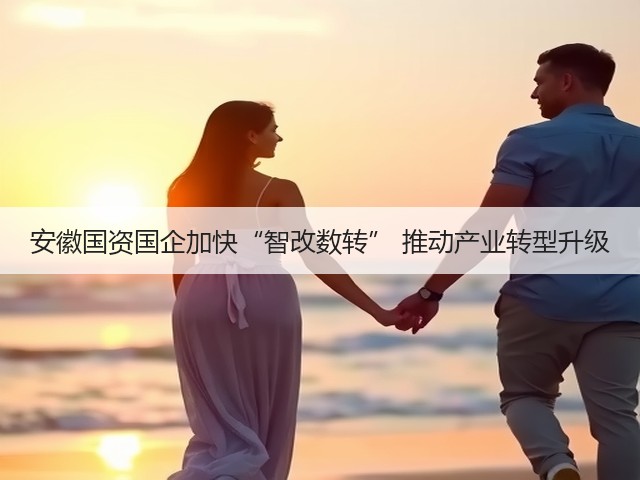 安徽国资国企加快“智改数转” 推动产业转型升级(图3)