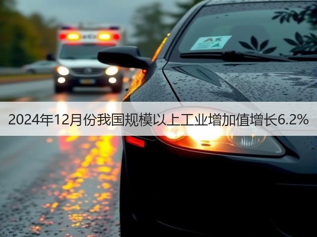 2024年12月份我国规模以上工业增加值增长6.2%(图1) 2024年12月份我国规模以上工业增加值增长6.2%(图1)
