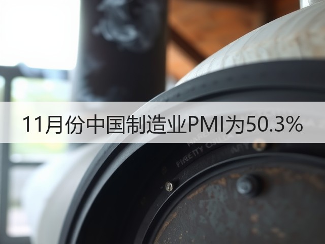 11月份中国制造业PMI为50.3%(图3)