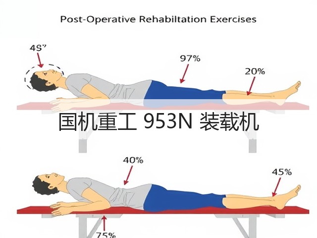 国机重工 953N 装载机(图2)
