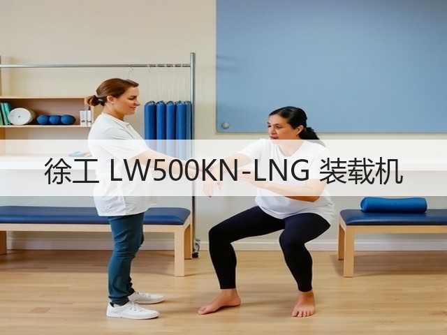 徐工 LW500KN-LNG 装载机(图1) 徐工 LW500KN-LNG 装载机(图1)