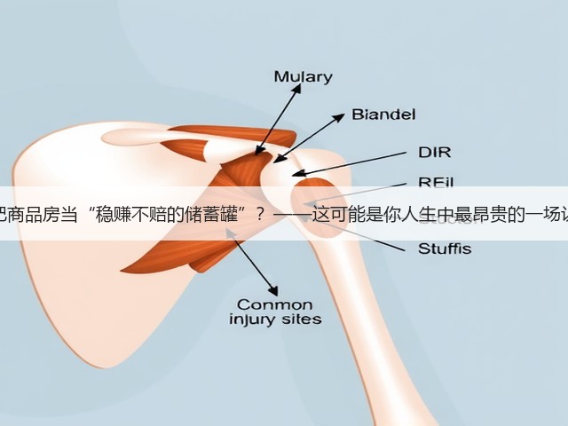 你还在把商品房当“稳赚不赔的储蓄罐”?——这可能是你人生中最昂贵的一场认知幻觉(图2) 你还在把商品房当“稳赚不赔的储蓄罐”?——这可能是你人生中最昂贵的一场认知幻觉(图2)