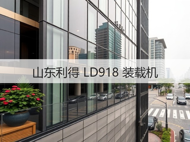 山东利得 LD918 装载机(图1)