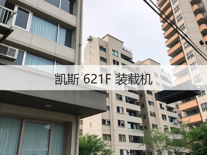 凯斯 621F 装载机 凯斯 621F 装载机