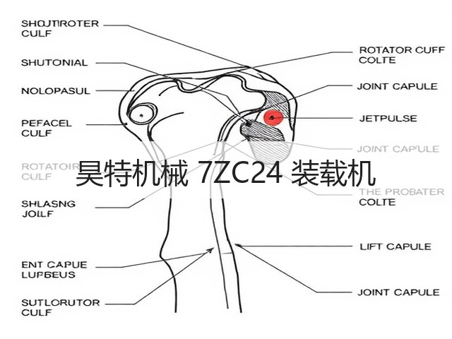 昊特机械 7ZC24 装载机(图2) 昊特机械 7ZC24 装载机(图2)