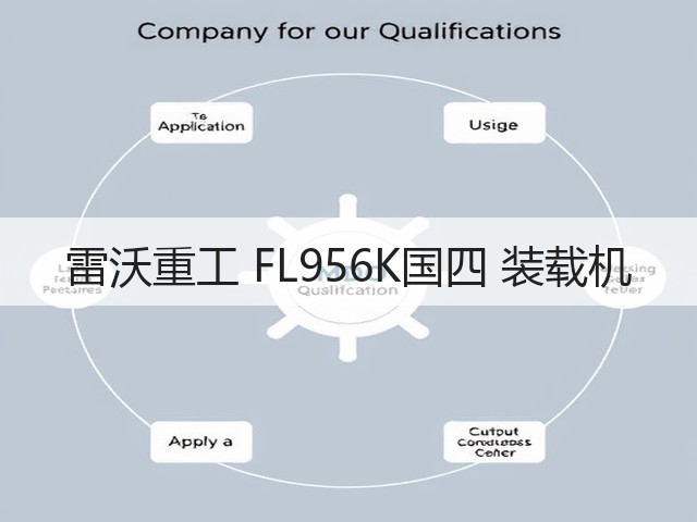 雷沃重工 FL956K国四 装载机(图3)