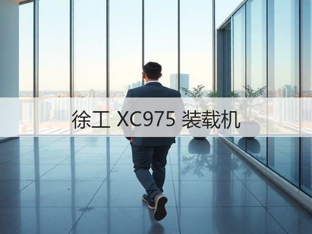 徐工 XC975 装载机(图2)