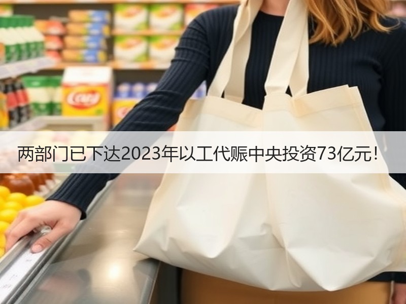 两部门已下达2023年以工代赈中央投资73亿元！