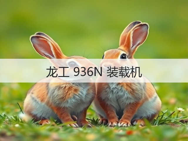 龙工 936N 装载机(图3)
