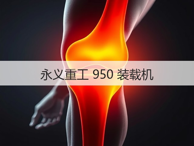 永义重工 950 装载机(图3)