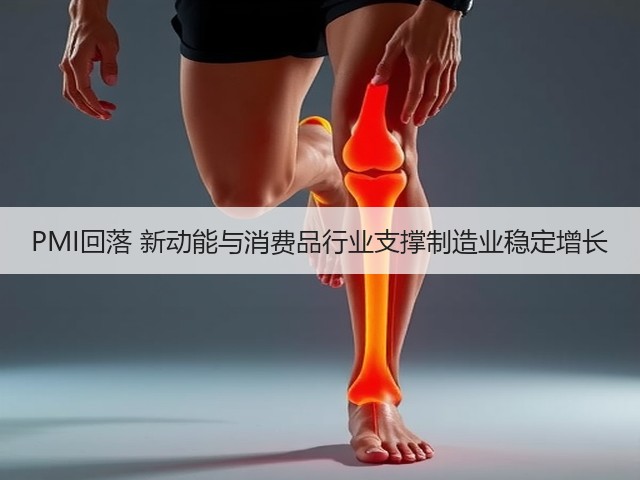 PMI回落 新动能与消费品行业支撑制造业稳定增长(图2) PMI回落 新动能与消费品行业支撑制造业稳定增长(图2)
