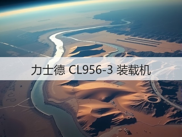 力士德 CL956-3 装载机(图2)